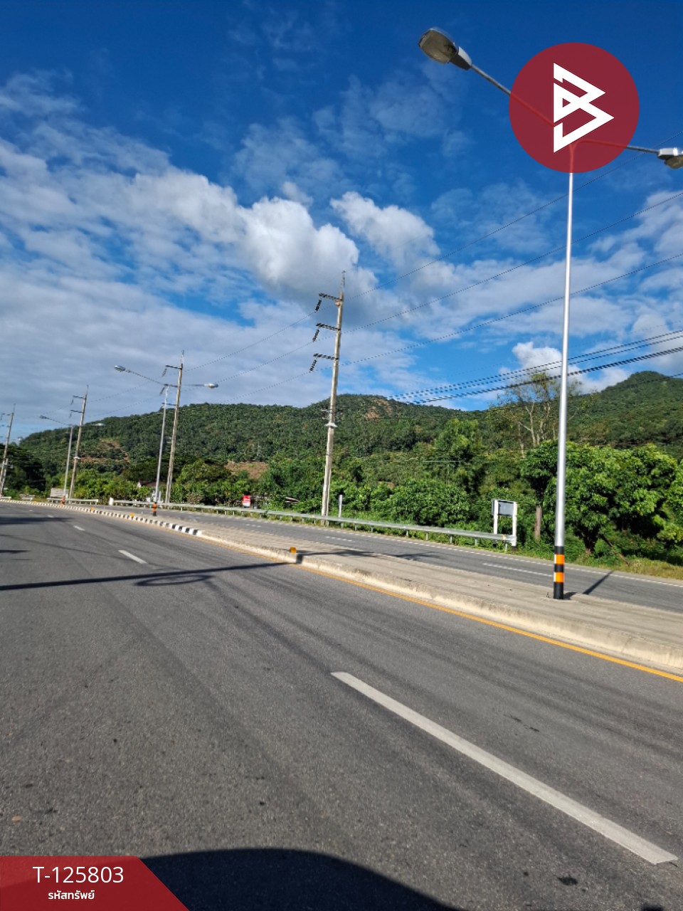 ขายที่ดิน เนื้อที่ 8 ไร่ 96.2 ตร.วา เทิง เชียงราย 12