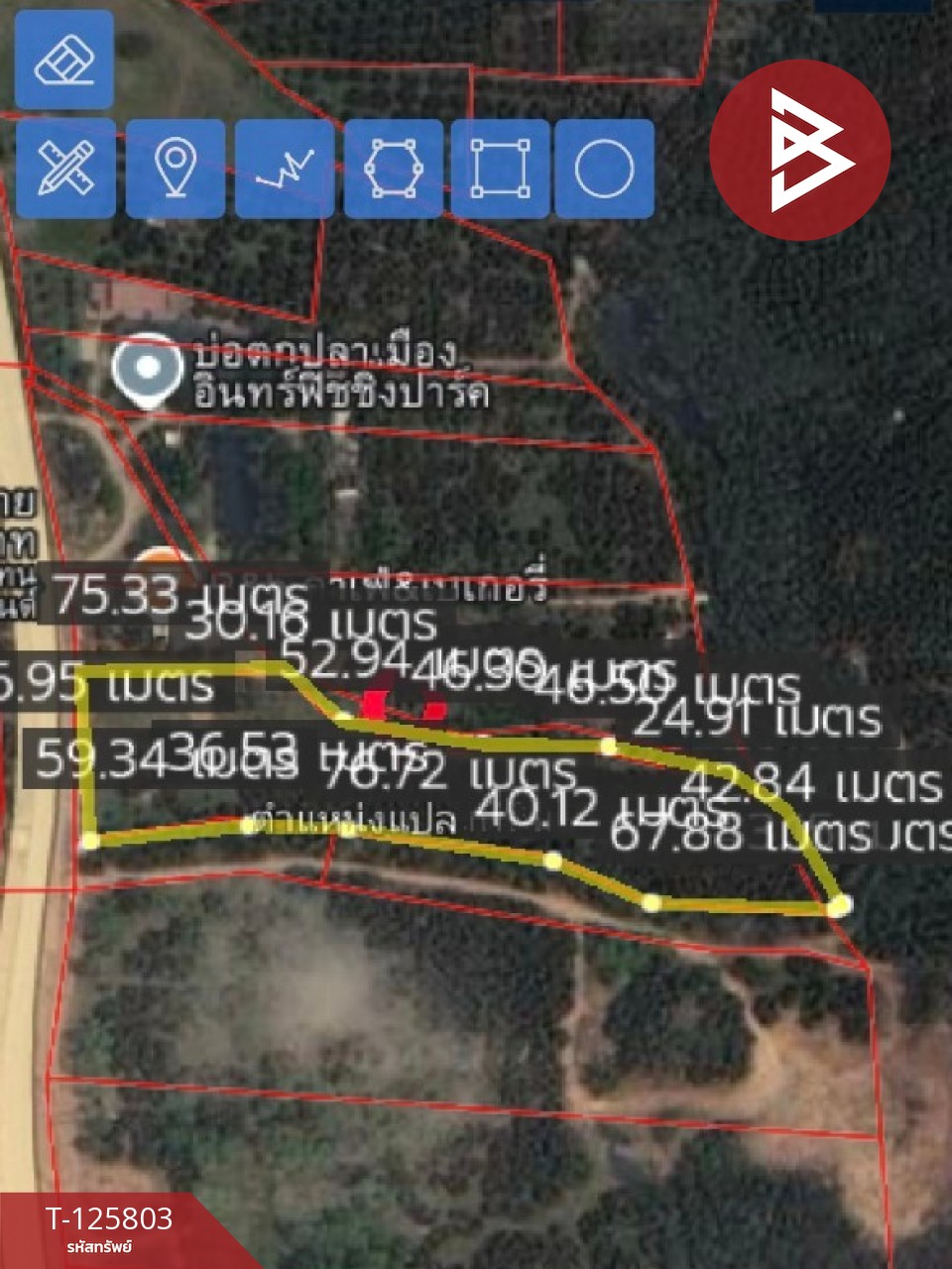 ขายที่ดิน เนื้อที่ 8 ไร่ 96.2 ตร.วา เทิง เชียงราย 15