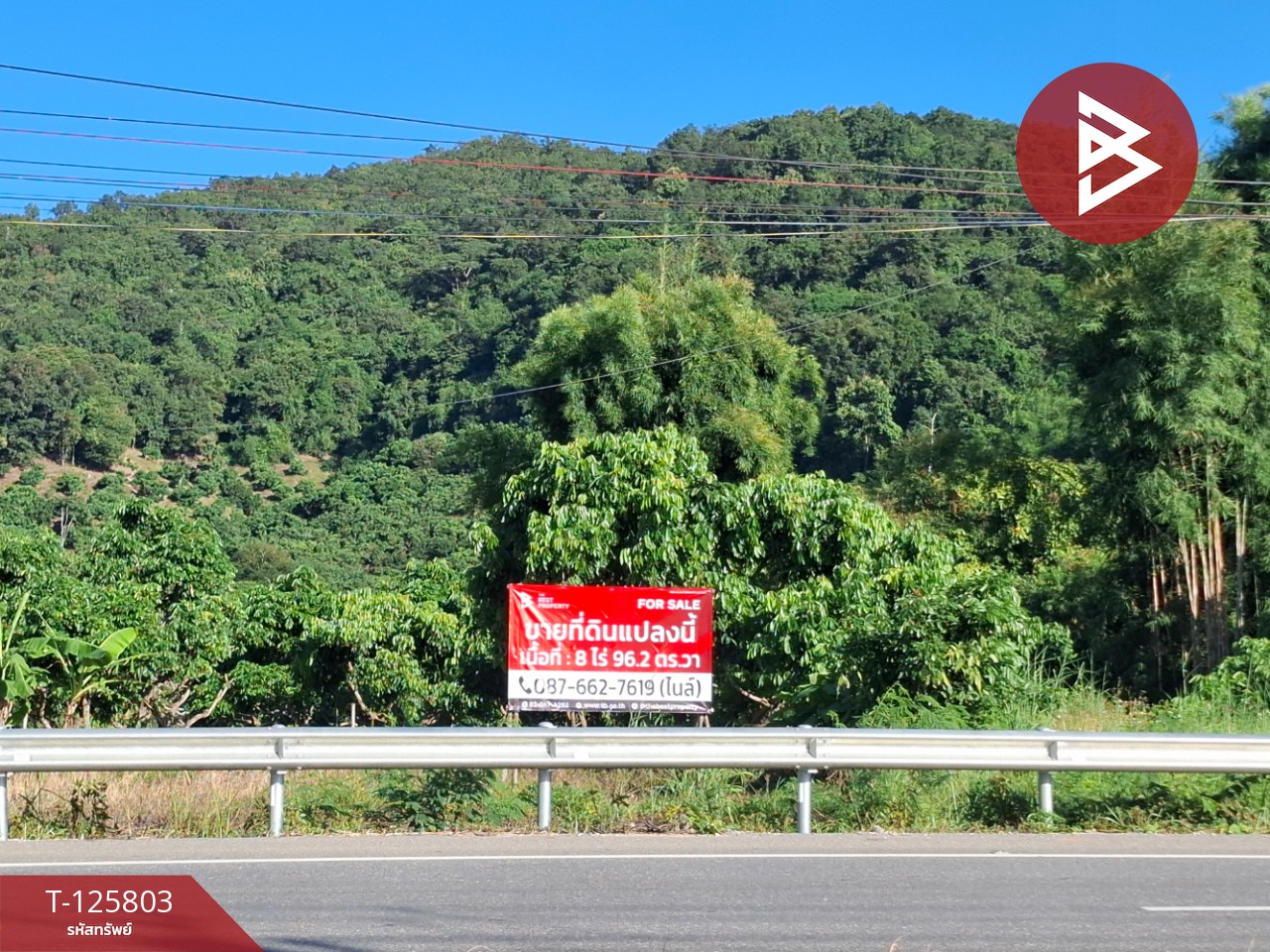 ขายที่ดิน เนื้อที่ 8 ไร่ 96.2 ตร.วา เทิง เชียงราย 1