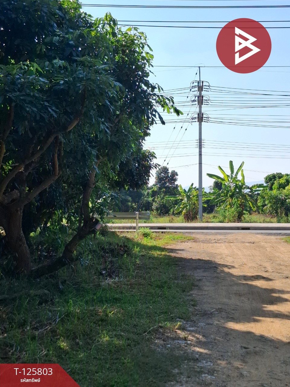 ขายที่ดิน เนื้อที่ 8 ไร่ 96.2 ตร.วา เทิง เชียงราย 10