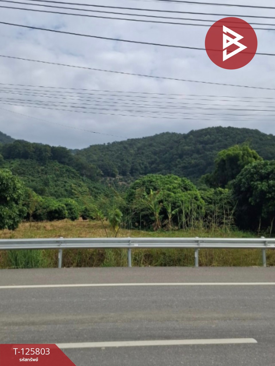 ขายที่ดิน เนื้อที่ 8 ไร่ 96.2 ตร.วา เทิง เชียงราย 5