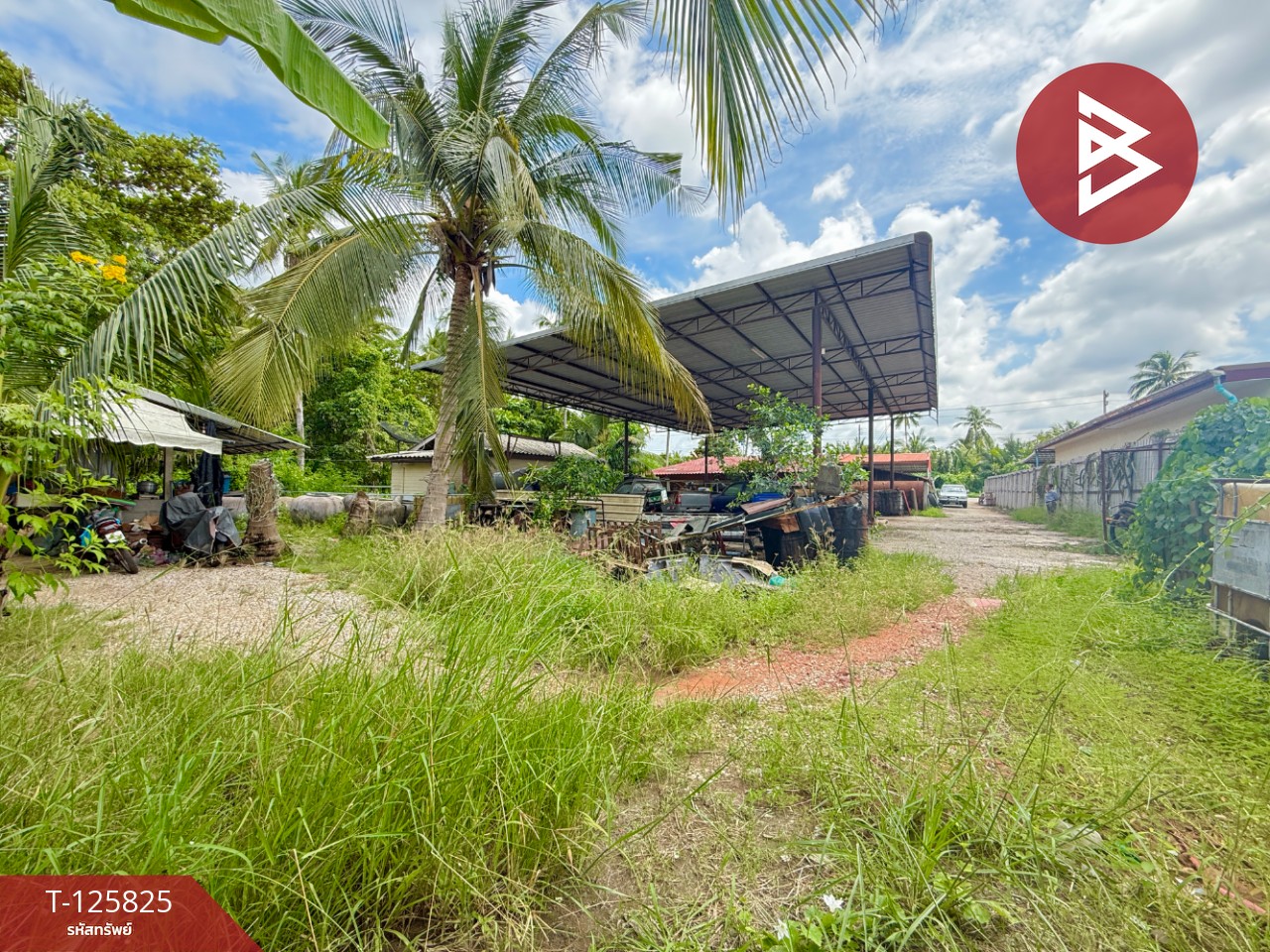 ขายบ้านเดี่ยวชั้นเดียว เนื้อที่ 3 งาน 76 ตร.วา บ้านปรก สมุทรสงคราม 13