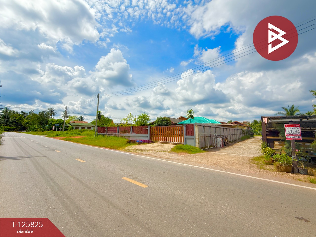 ขายบ้านเดี่ยวชั้นเดียว เนื้อที่ 3 งาน 76 ตร.วา บ้านปรก สมุทรสงคราม 2