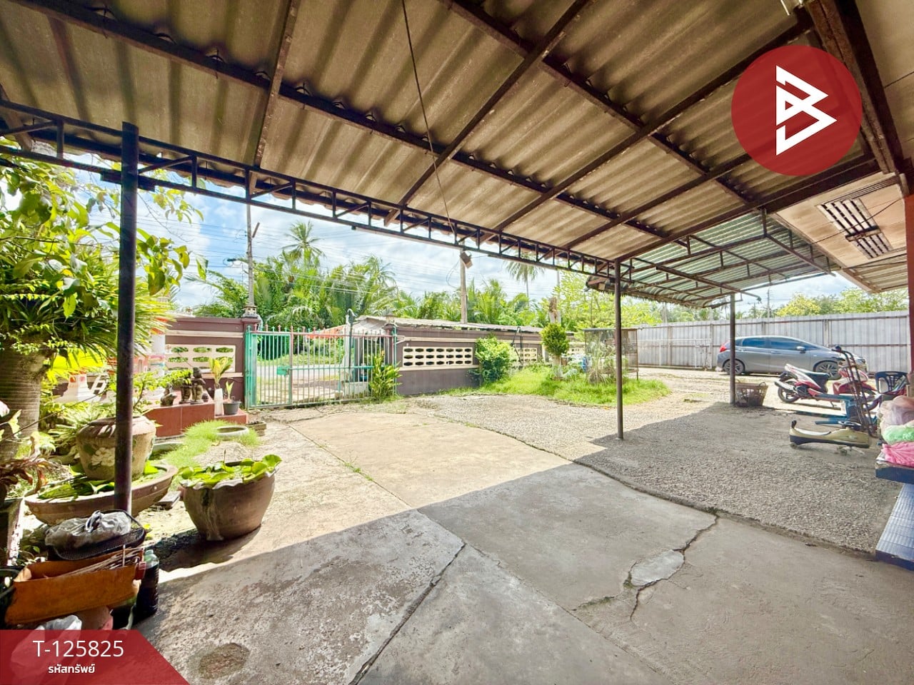 ขายบ้านเดี่ยวชั้นเดียว เนื้อที่ 3 งาน 76 ตร.วา บ้านปรก สมุทรสงคราม 3