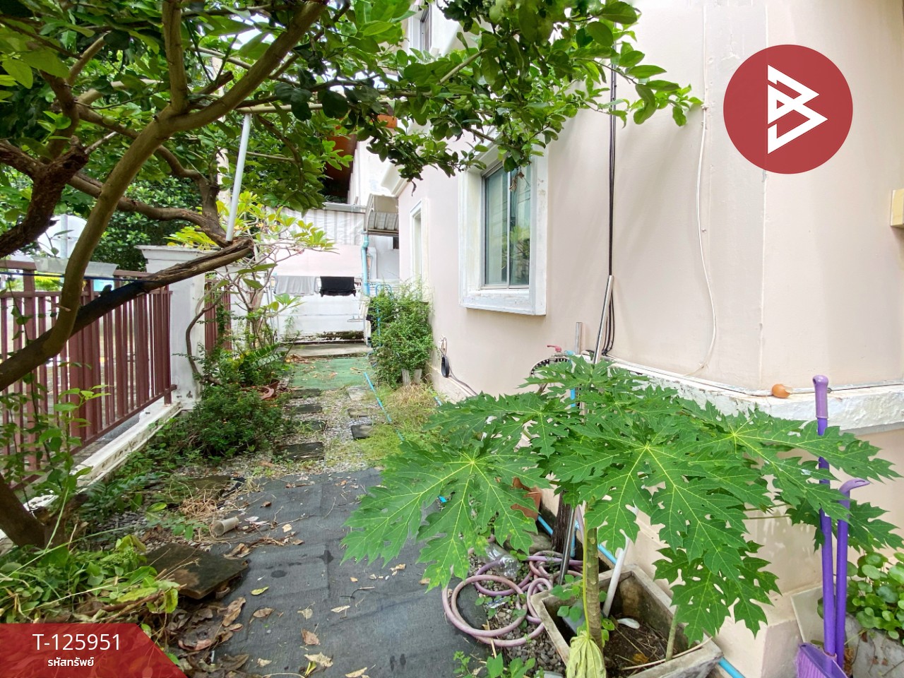 ขายบ้านเดี่ยว หมู่บ้านพฤกษาวิลเลจ2 รังสิต-คลอง7 ธัญบุรี ปทุมธานี 14