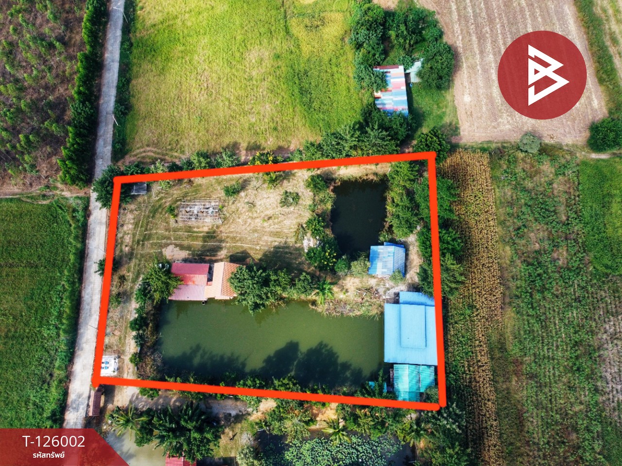 ขายบ้านเดี่ยวพร้อมที่ดิน เนื้อที่ 3 ไร่ 1 งาน 80 ตร.วา บ้านไร่ อุทัยธานี 3