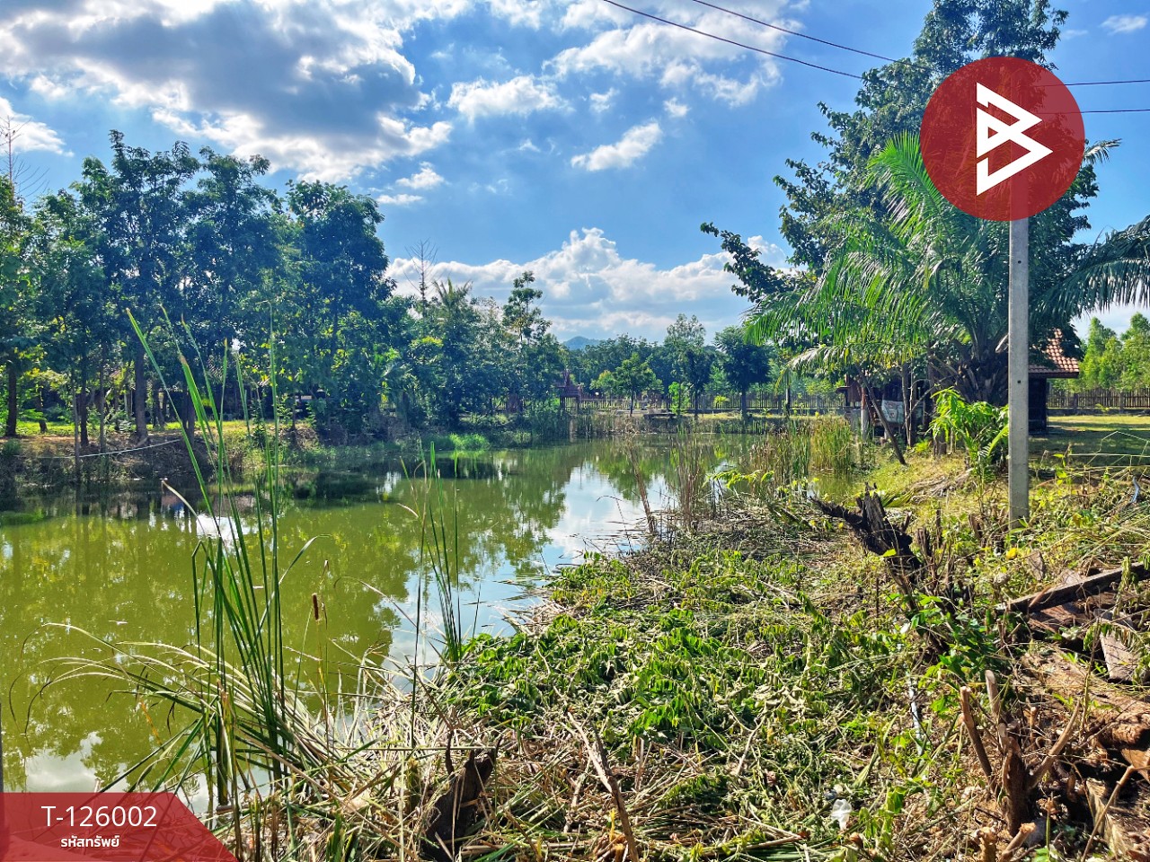 ขายบ้านเดี่ยวพร้อมที่ดิน เนื้อที่ 3 ไร่ 1 งาน 80 ตร.วา บ้านไร่ อุทัยธานี 9