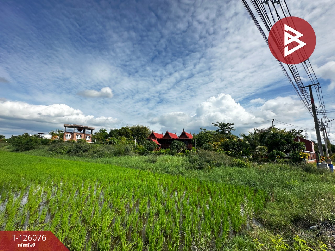 ขายที่ดิน เนื้อที่ 1 ไร่ 1 งาน 86 ตร.วา คลองนครเนื่องเขต ฉะเชิงเทรา 10