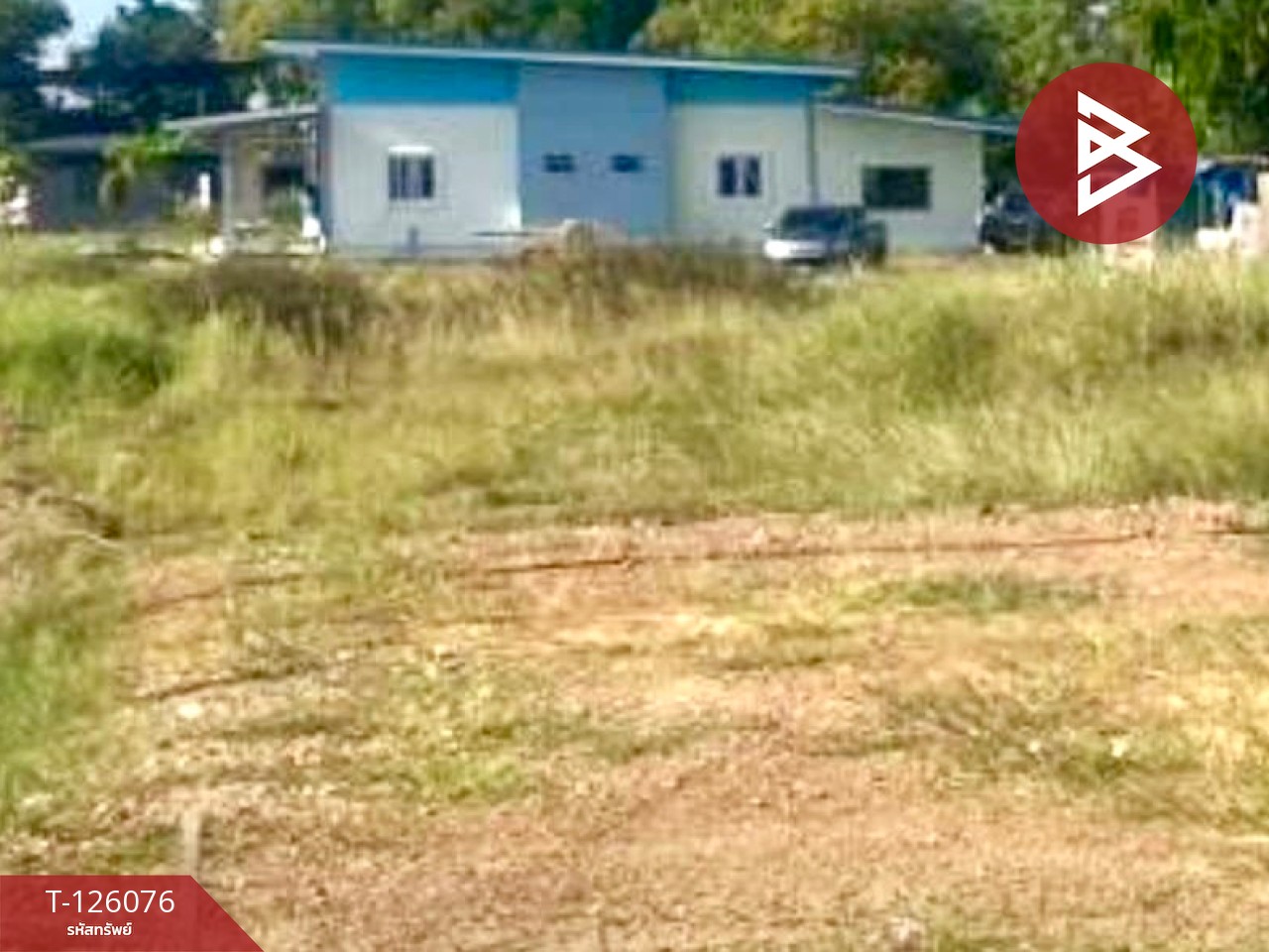 ขายที่ดิน เนื้อที่ 1 ไร่ 1 งาน 86 ตร.วา คลองนครเนื่องเขต ฉะเชิงเทรา 3