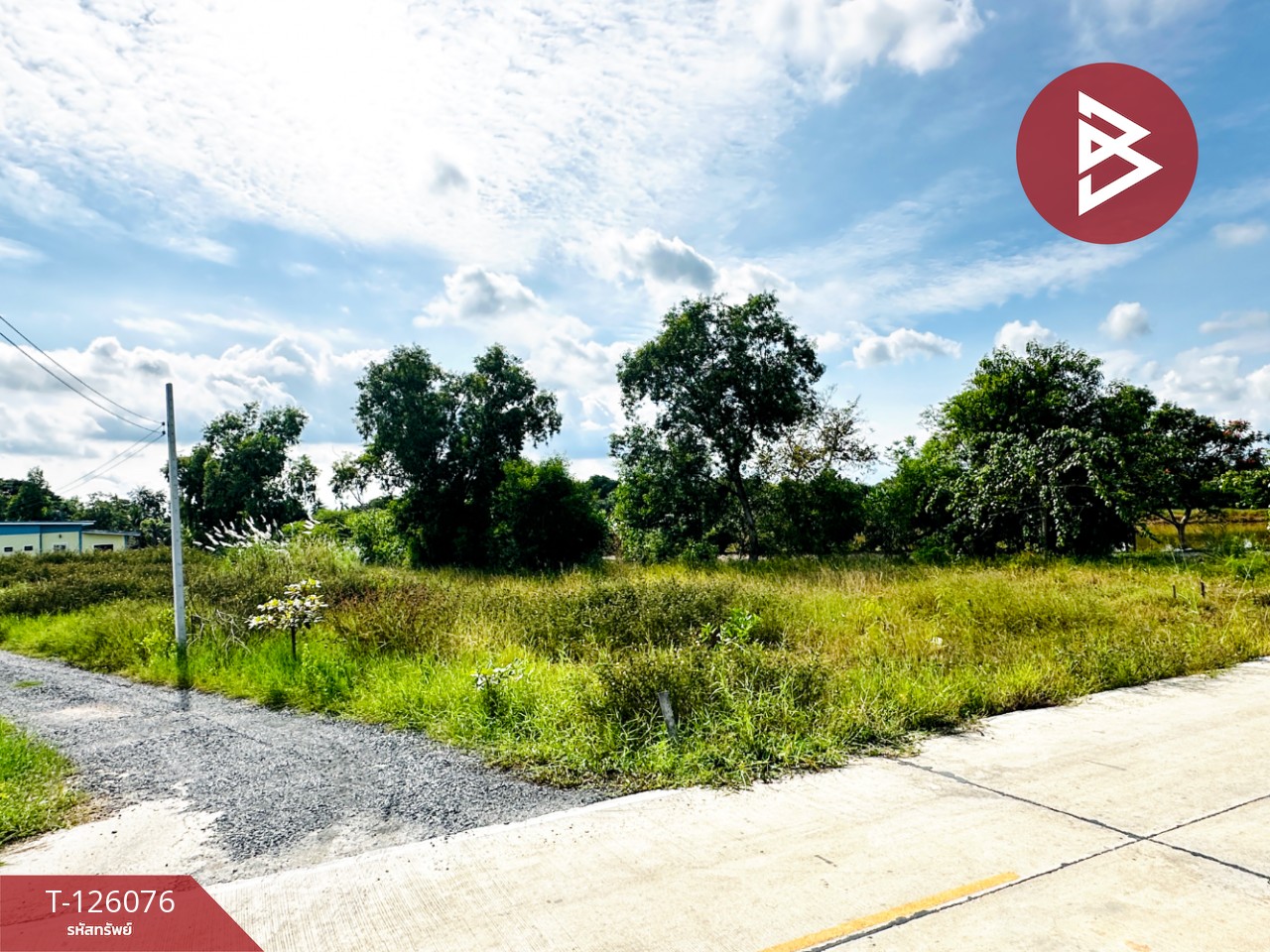 ขายที่ดิน เนื้อที่ 1 ไร่ 1 งาน 86 ตร.วา คลองนครเนื่องเขต ฉะเชิงเทรา 9