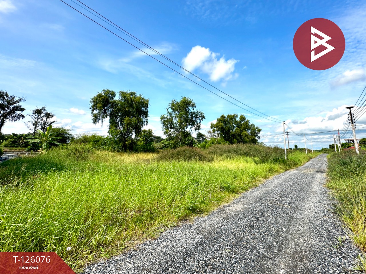 ขายที่ดิน เนื้อที่ 1 ไร่ 1 งาน 86 ตร.วา คลองนครเนื่องเขต ฉะเชิงเทรา 11