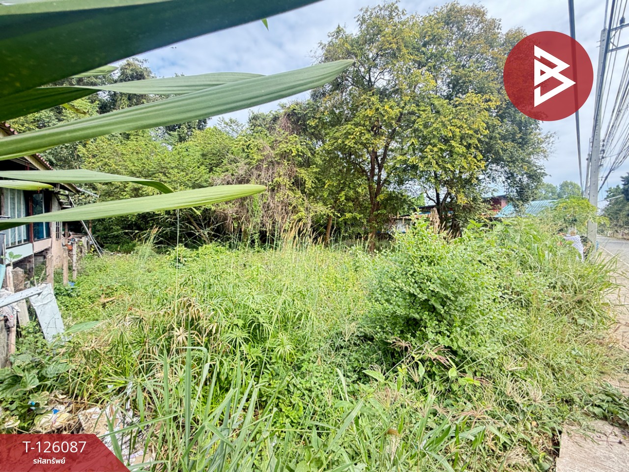 ขายที่ดิน เนื้อที่ 1 งาน 96 ตร.วา บ้านจั่น อุดรธานี 9