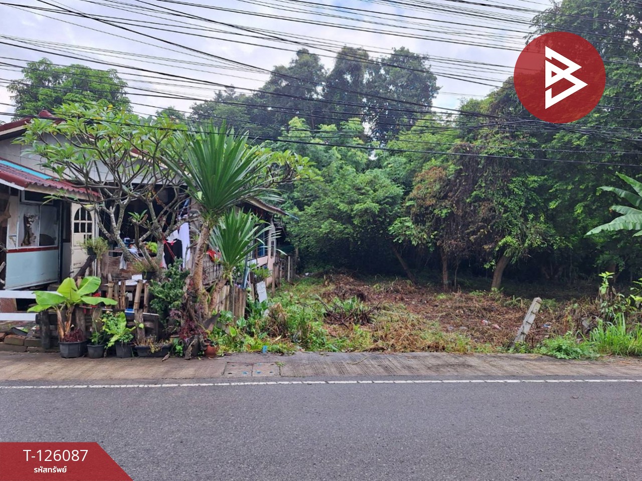 ขายที่ดิน เนื้อที่ 1 งาน 96 ตร.วา บ้านจั่น อุดรธานี 5