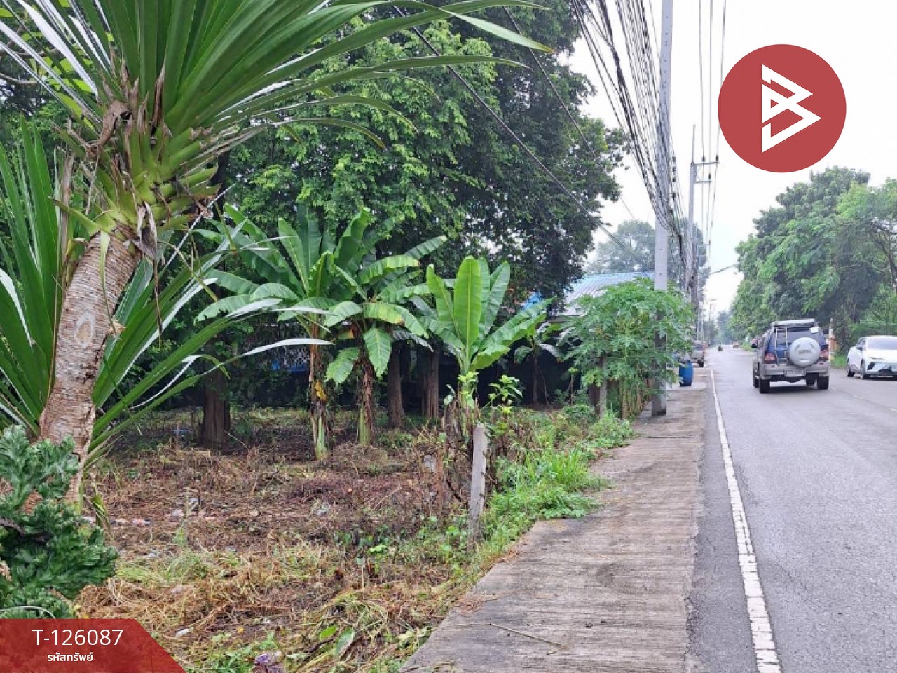 ขายที่ดิน เนื้อที่ 1 งาน 96 ตร.วา บ้านจั่น อุดรธานี 6