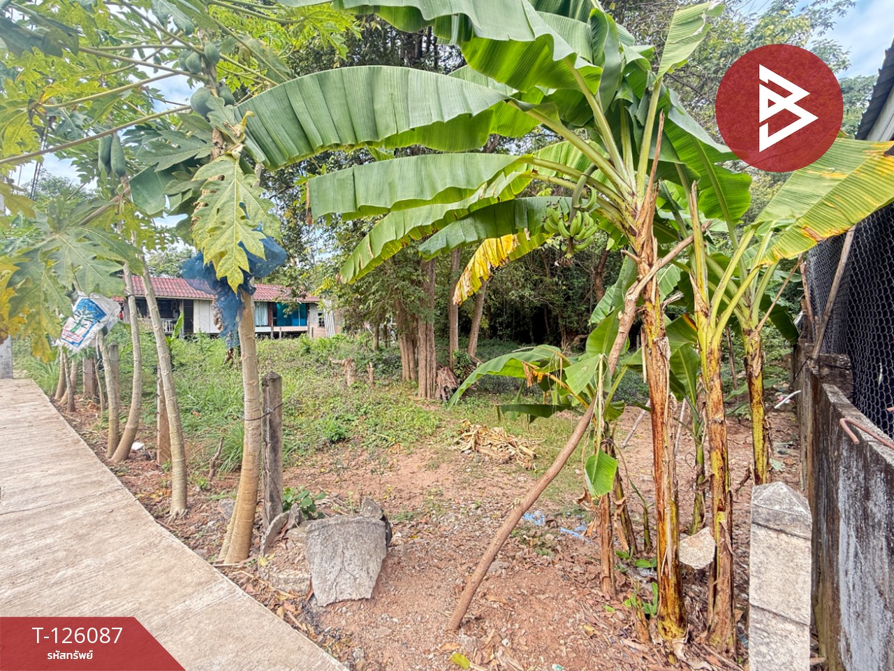 ขายที่ดิน เนื้อที่ 1 งาน 96 ตร.วา บ้านจั่น อุดรธานี 10