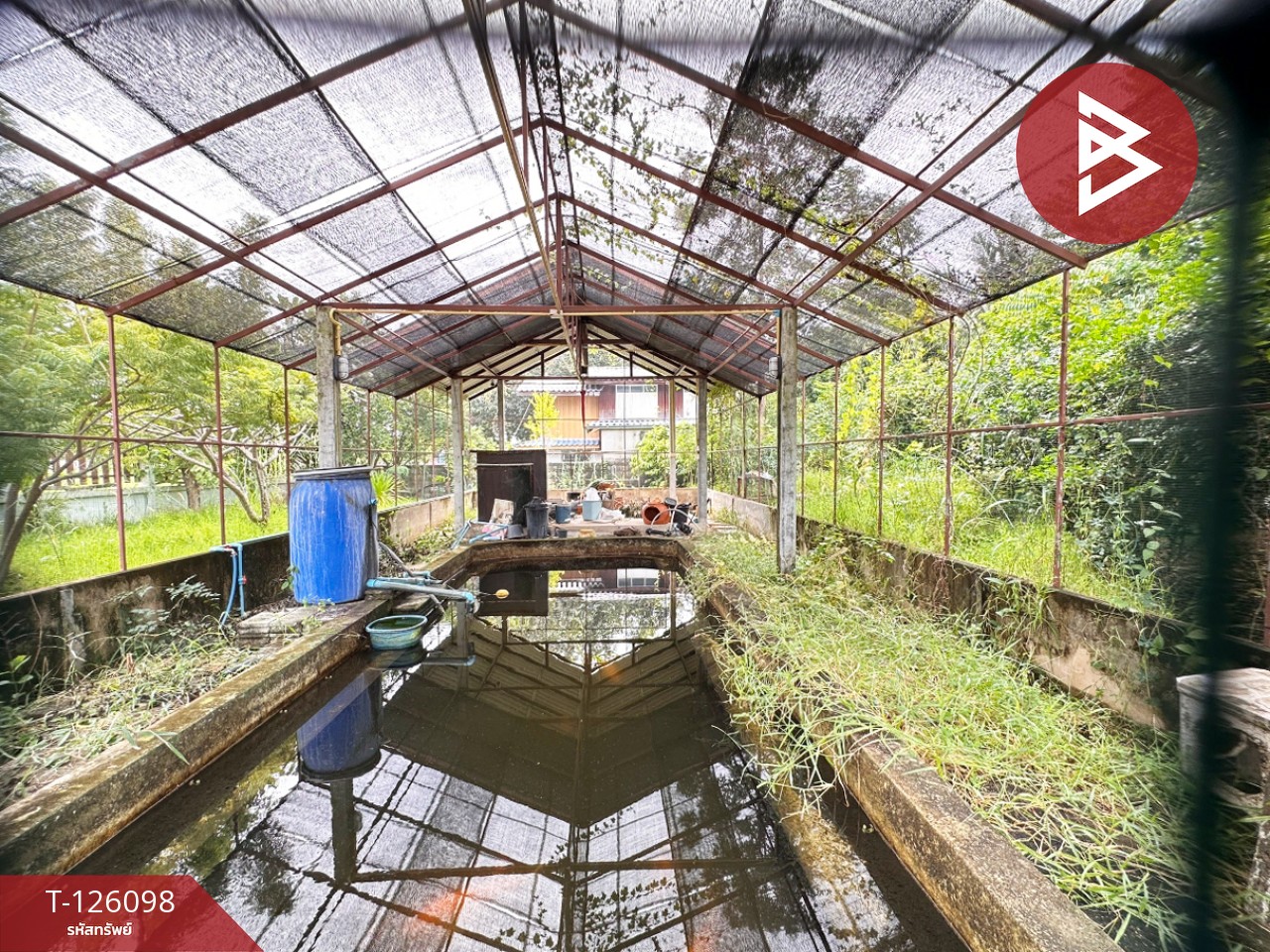 ขายบ้านเดี่ยวพร้อมที่ดิน เนื้อที่ 1 ไร่ 2 งาน 11.7 ตร.วา วังทอง พิษณุโลก 15