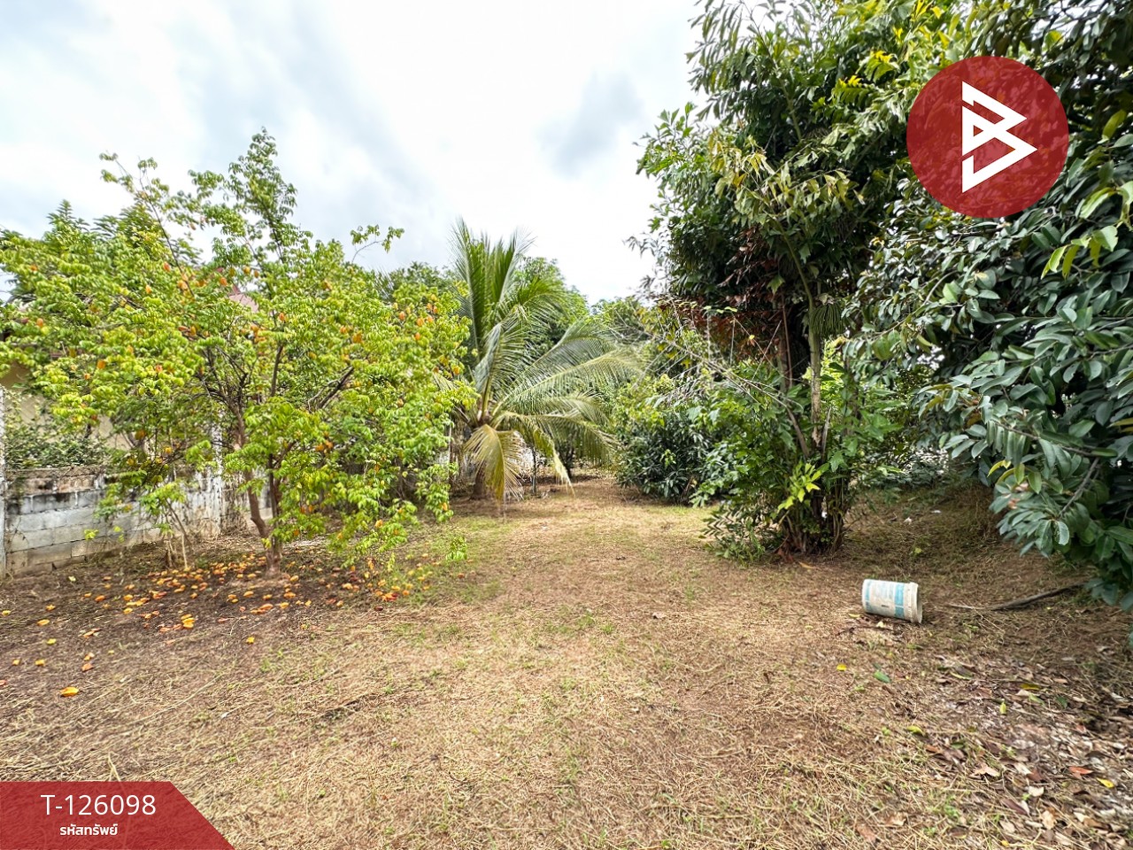 ขายบ้านเดี่ยวพร้อมที่ดิน เนื้อที่ 1 ไร่ 2 งาน 11.7 ตร.วา วังทอง พิษณุโลก 12