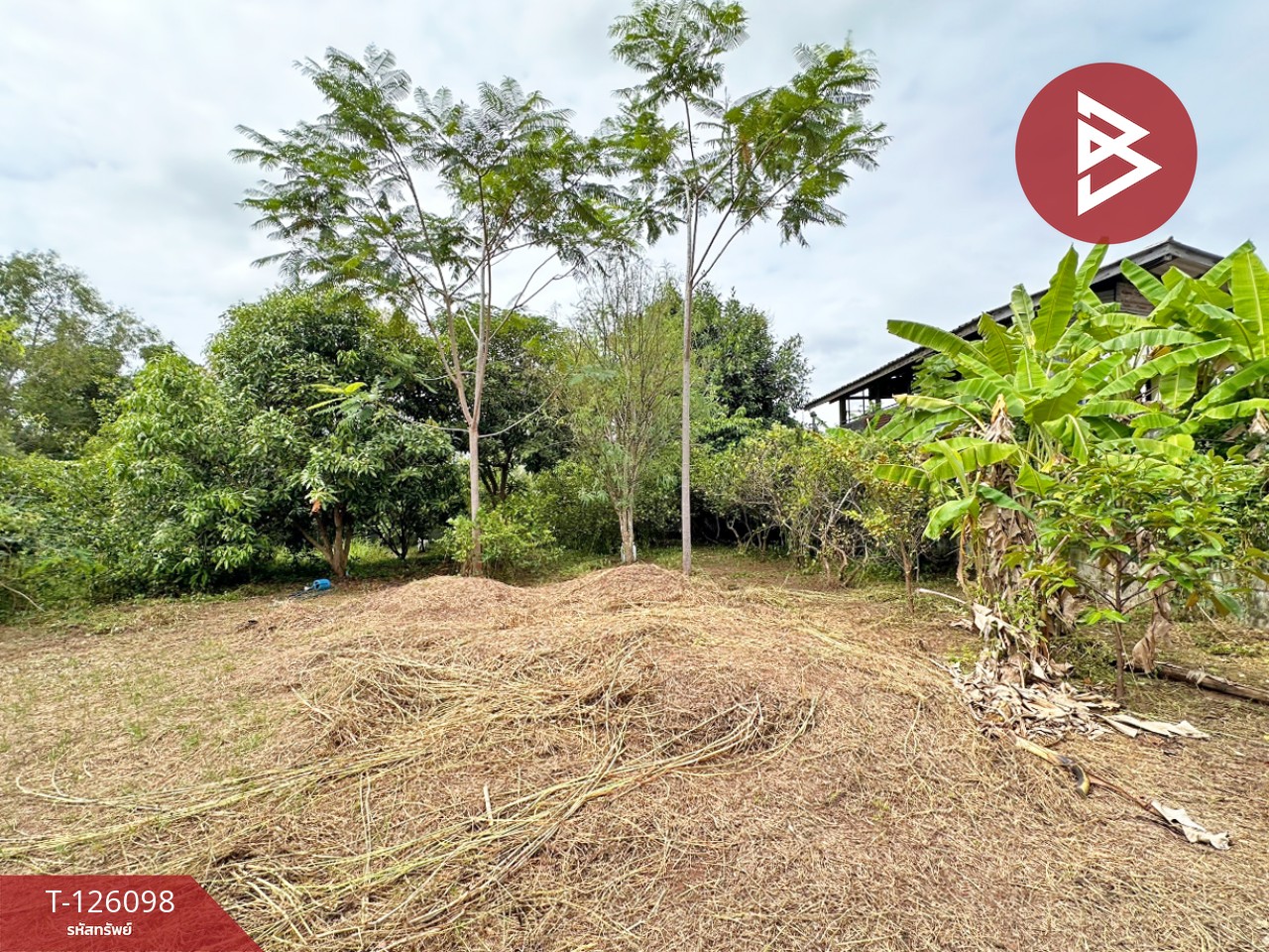 ขายบ้านเดี่ยวพร้อมที่ดิน เนื้อที่ 1 ไร่ 2 งาน 11.7 ตร.วา วังทอง พิษณุโลก 14