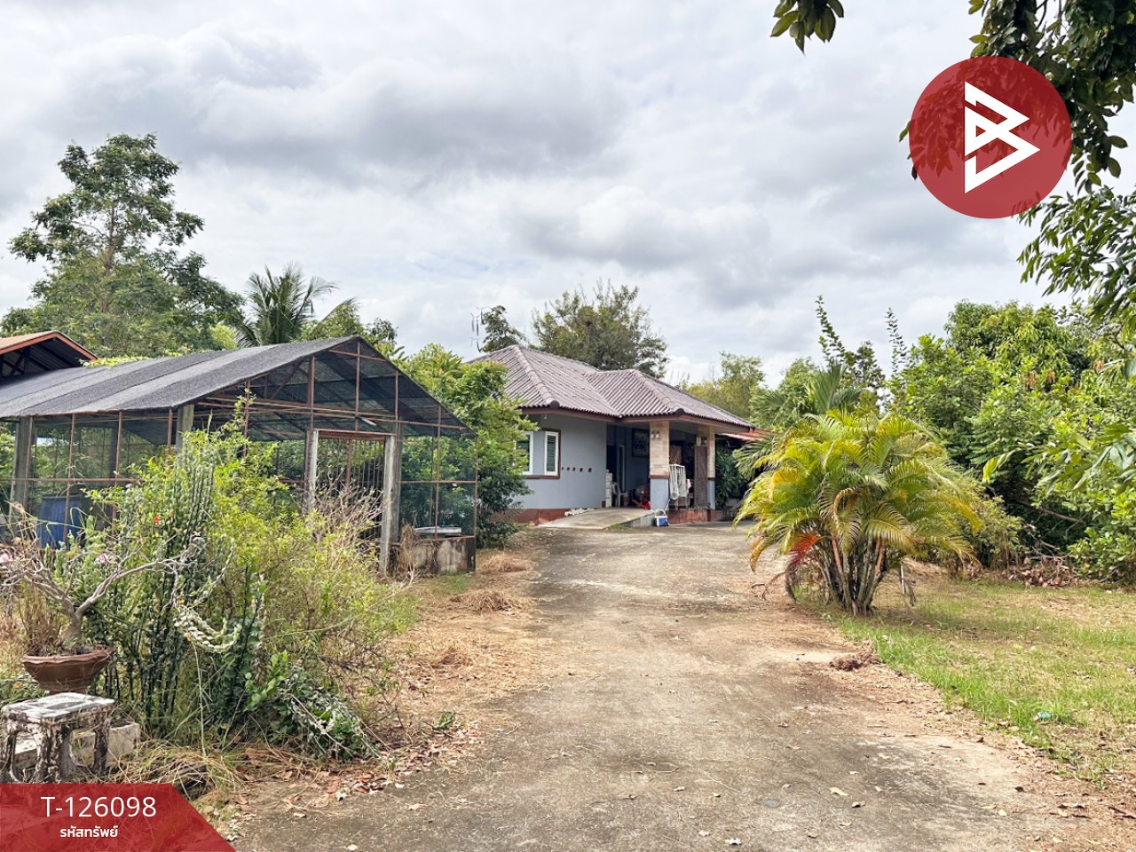 ขายบ้านเดี่ยวพร้อมที่ดิน เนื้อที่ 1 ไร่ 2 งาน 11.7 ตร.วา วังทอง พิษณุโลก 11