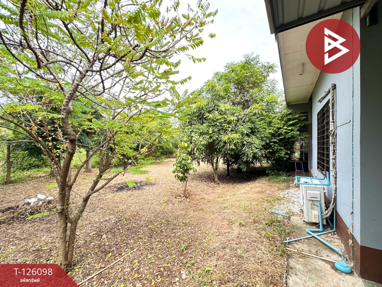 ขายบ้านเดี่ยวพร้อมที่ดิน เนื้อที่ 1 ไร่ 2 งาน 11.7 ตร.วา วังทอง พิษณุโลก 13