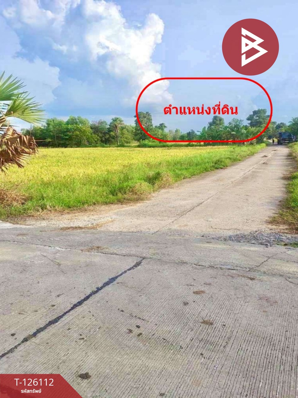 ขายที่ดิน เนื้อที่ 8 ไร่ 63 ตร.วา พิมาย นครราชสีมา 1