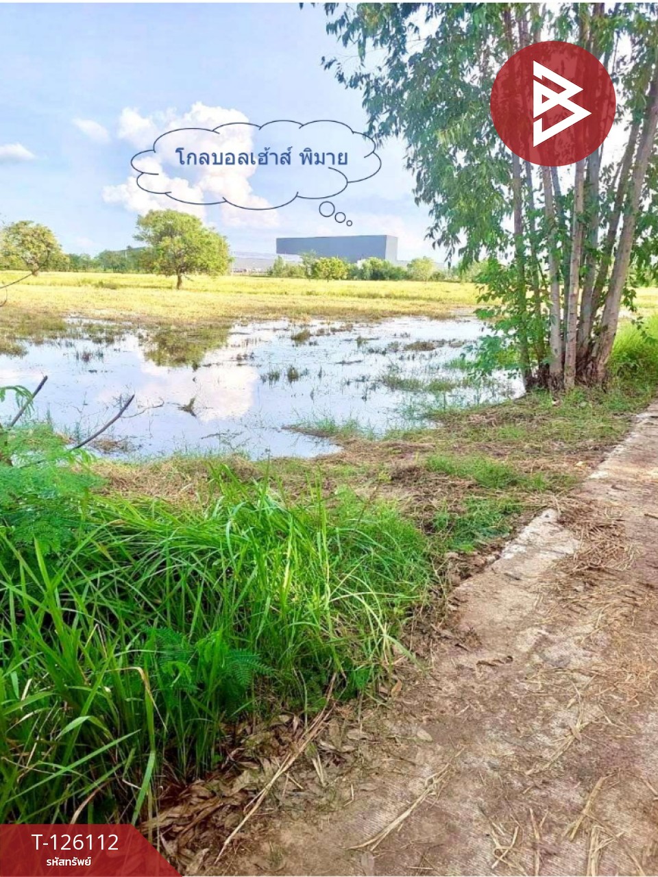 ขายที่ดิน เนื้อที่ 8 ไร่ 63 ตร.วา พิมาย นครราชสีมา 4