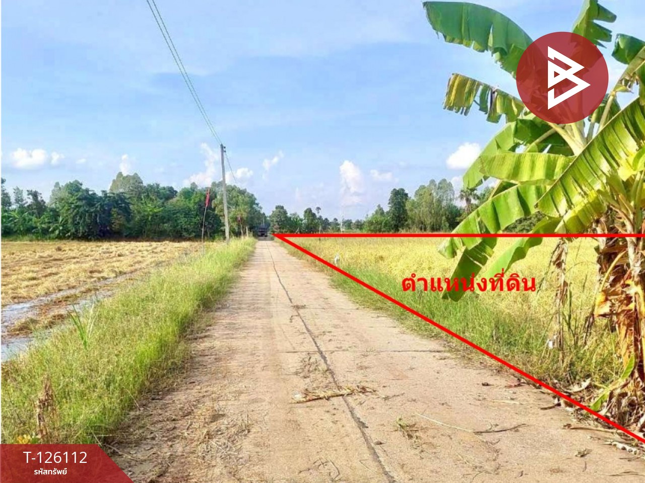 ขายที่ดิน เนื้อที่ 8 ไร่ 63 ตร.วา พิมาย นครราชสีมา 2