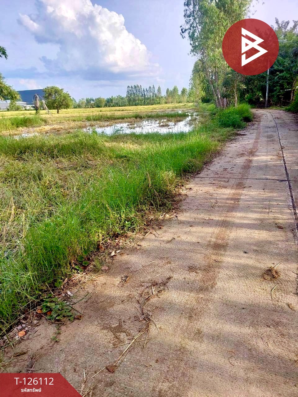 ขายที่ดิน เนื้อที่ 8 ไร่ 63 ตร.วา พิมาย นครราชสีมา 6