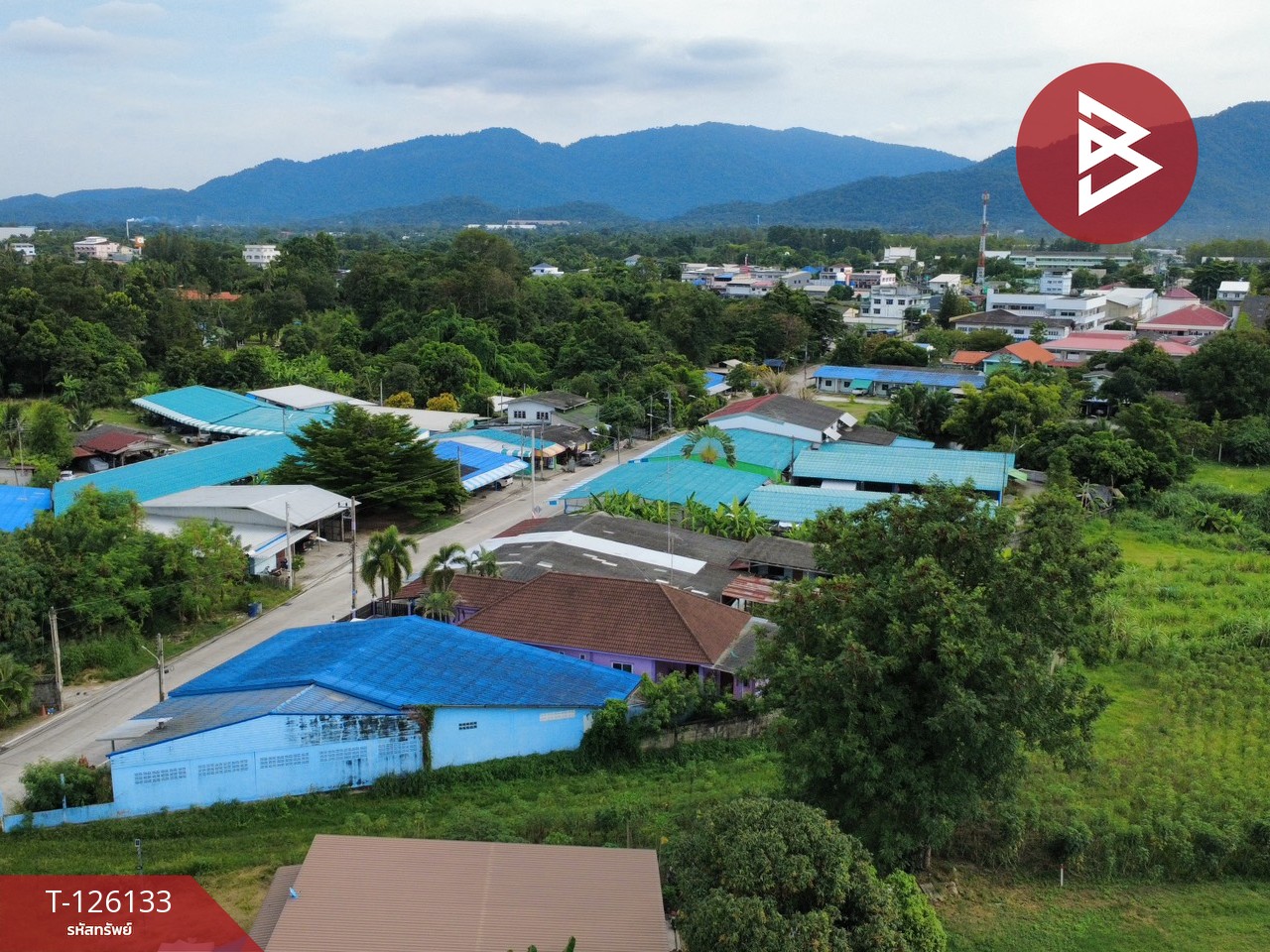 ขายที่ดิน เนื้อที่ 10 ไร่ 2 งาน 95 ตร.วา หนองรี ชลบุรี 7