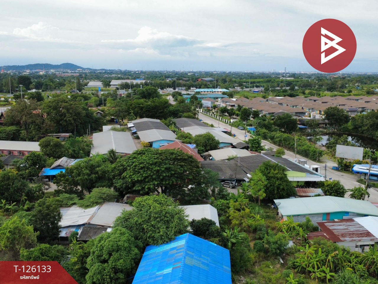 ขายที่ดิน เนื้อที่ 10 ไร่ 2 งาน 95 ตร.วา หนองรี ชลบุรี 9