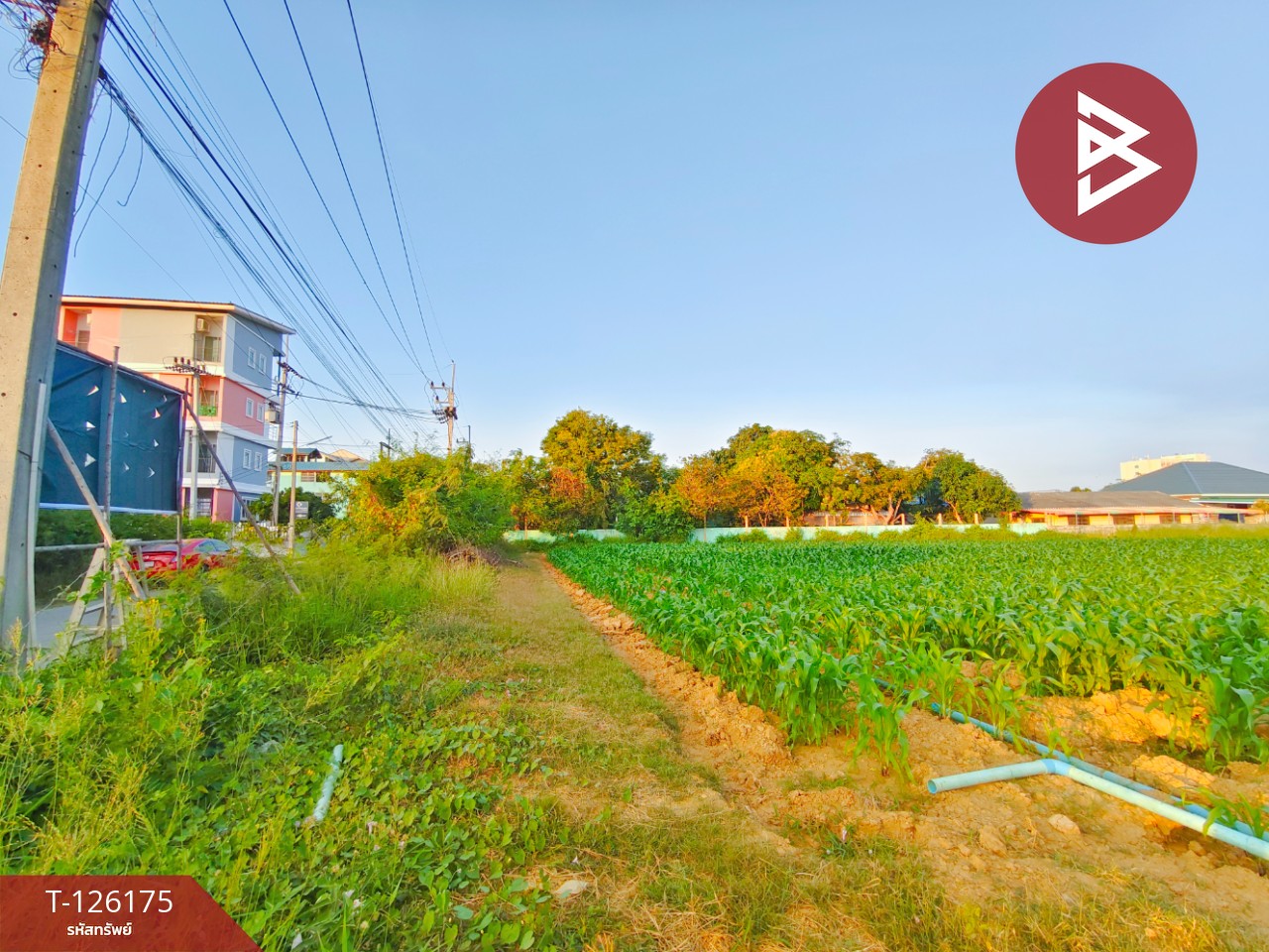 ขายที่ดิน เนื้อที่ 1 ไร่ 3 งาน 36 ตร.วา กำแพงแสน นครปฐม 5