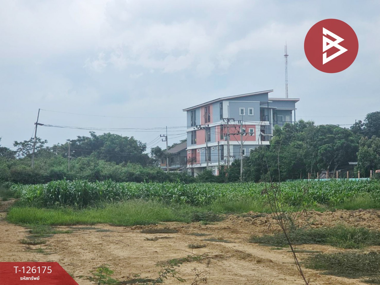 ขายที่ดิน เนื้อที่ 1 ไร่ 3 งาน 36 ตร.วา กำแพงแสน นครปฐม 9