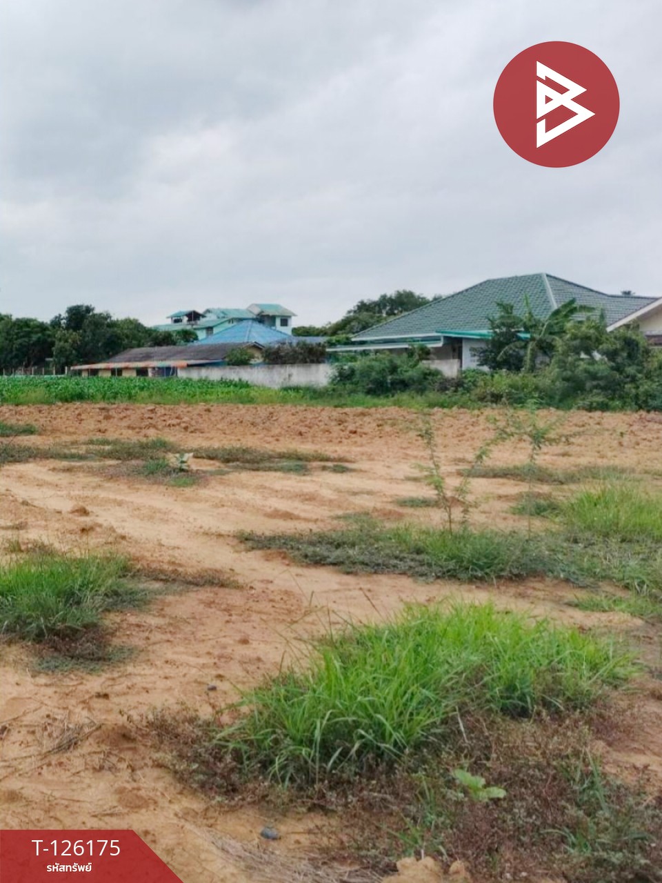 ขายที่ดิน เนื้อที่ 1 ไร่ 3 งาน 36 ตร.วา กำแพงแสน นครปฐม 8