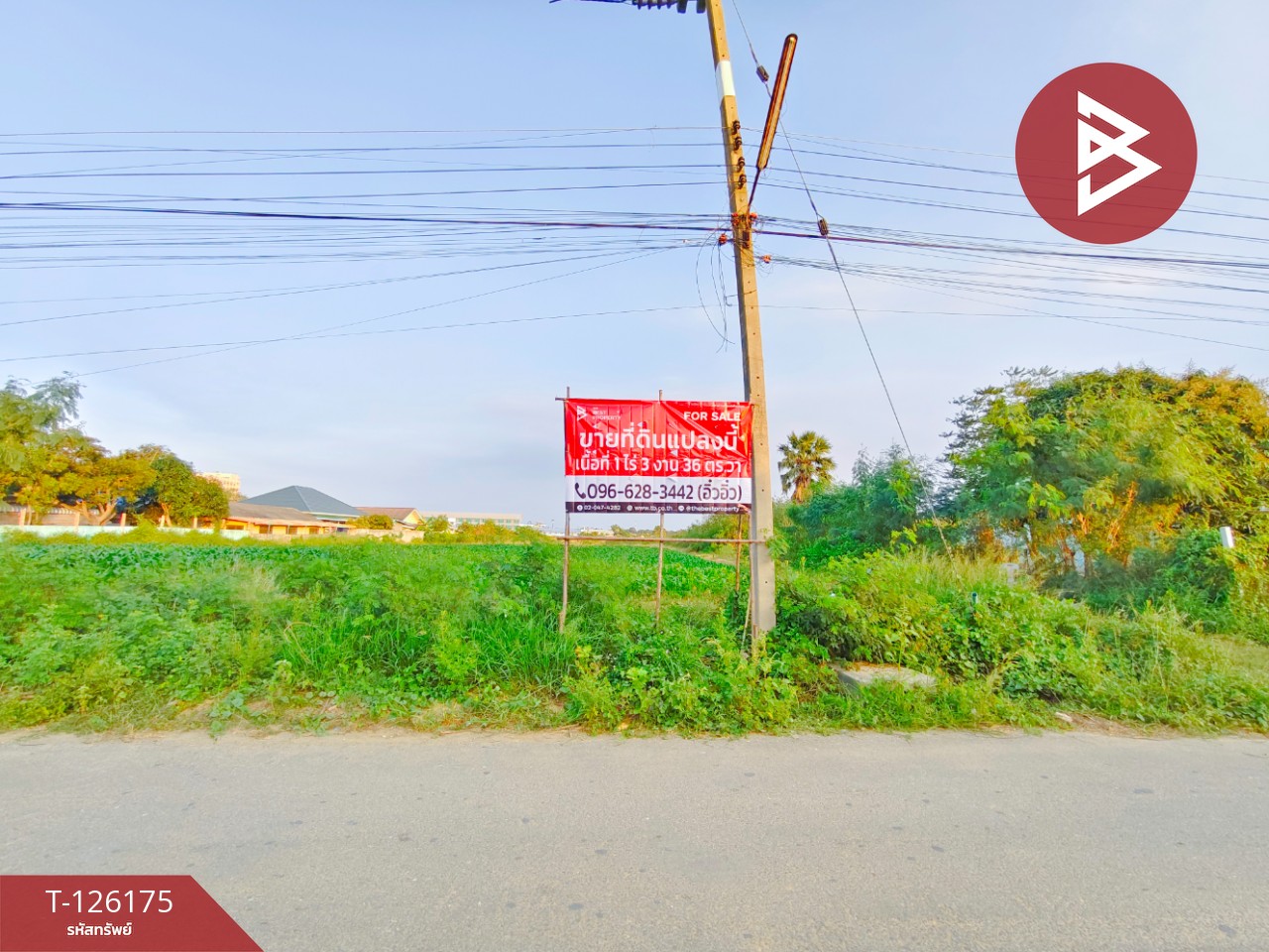 ขายที่ดิน เนื้อที่ 1 ไร่ 3 งาน 36 ตร.วา กำแพงแสน นครปฐม 1