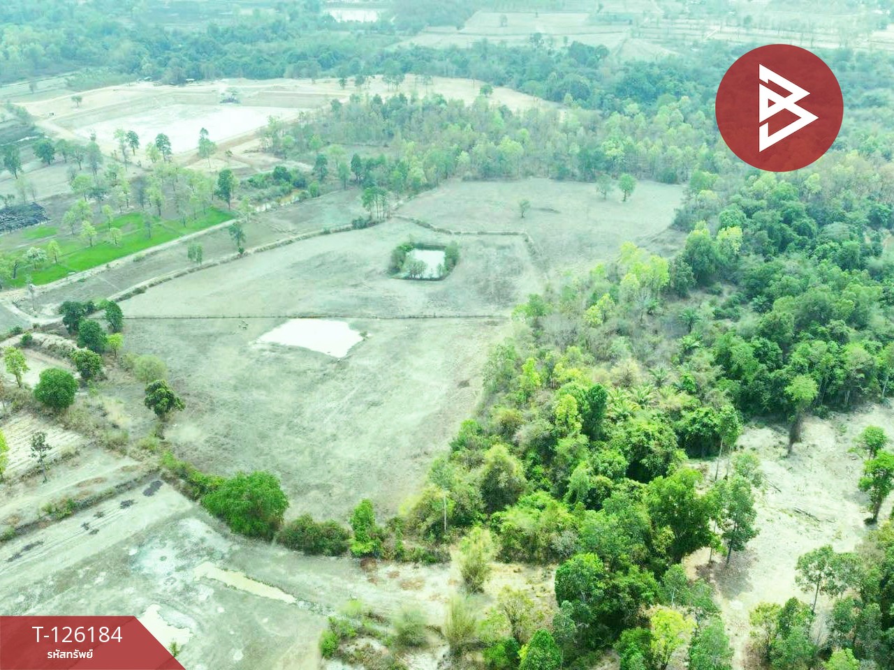 ขายที่ดินพร้อมสิ่งปลูกสร้าง เนื้อที่ 38 ไร่ 1 งาน 98.9 ตร.วา เสนางคนิคม อำนาจเจริญ 5