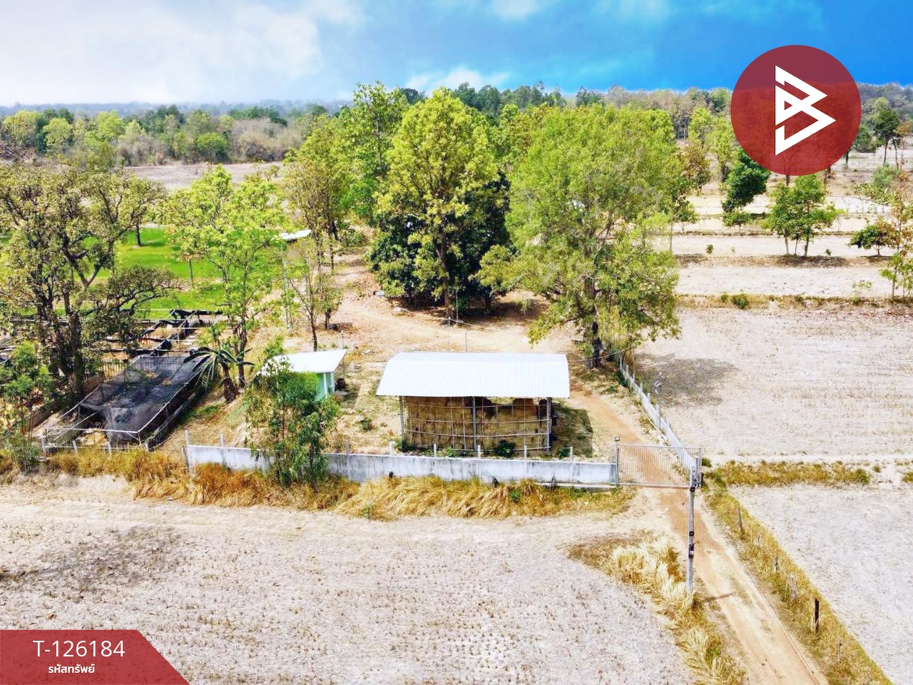 ขายที่ดินพร้อมสิ่งปลูกสร้าง เนื้อที่ 38 ไร่ 1 งาน 98.9 ตร.วา เสนางคนิคม อำนาจเจริญ 2