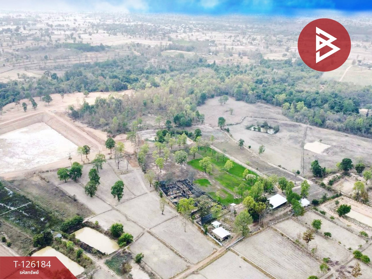 ขายที่ดินพร้อมสิ่งปลูกสร้าง เนื้อที่ 38 ไร่ 1 งาน 98.9 ตร.วา เสนางคนิคม อำนาจเจริญ 4