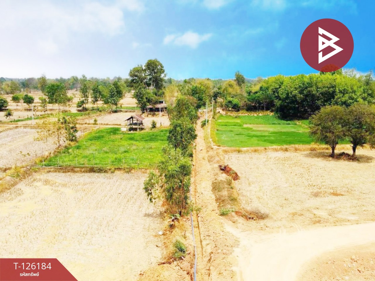 ขายที่ดินพร้อมสิ่งปลูกสร้าง เนื้อที่ 38 ไร่ 1 งาน 98.9 ตร.วา เสนางคนิคม อำนาจเจริญ 3