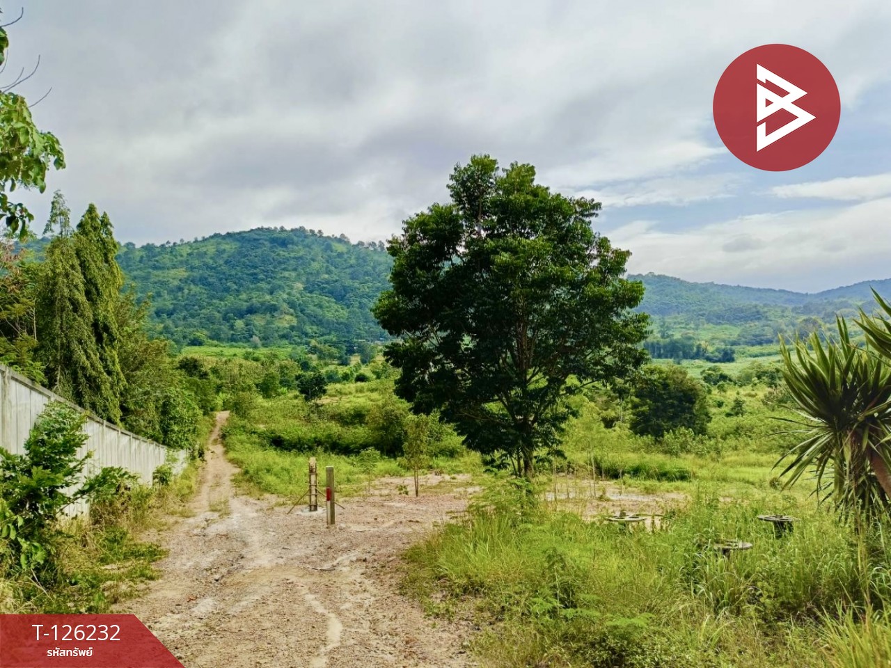 ขายที่ดินพร้อมสิ่งปลูกสร้าง เนื้อที่ 25 ไร่ 2 งาน 19.9 ตร.วา ปากช่อง นครราชสีมา 3