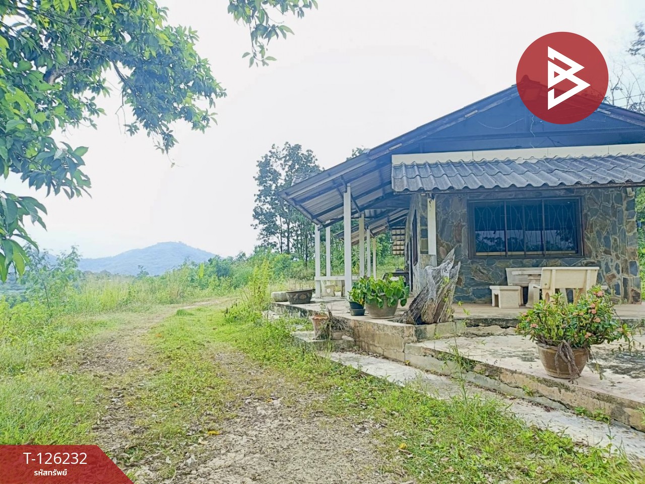 ขายที่ดินพร้อมสิ่งปลูกสร้าง เนื้อที่ 25 ไร่ 2 งาน 19.9 ตร.วา ปากช่อง นครราชสีมา 9