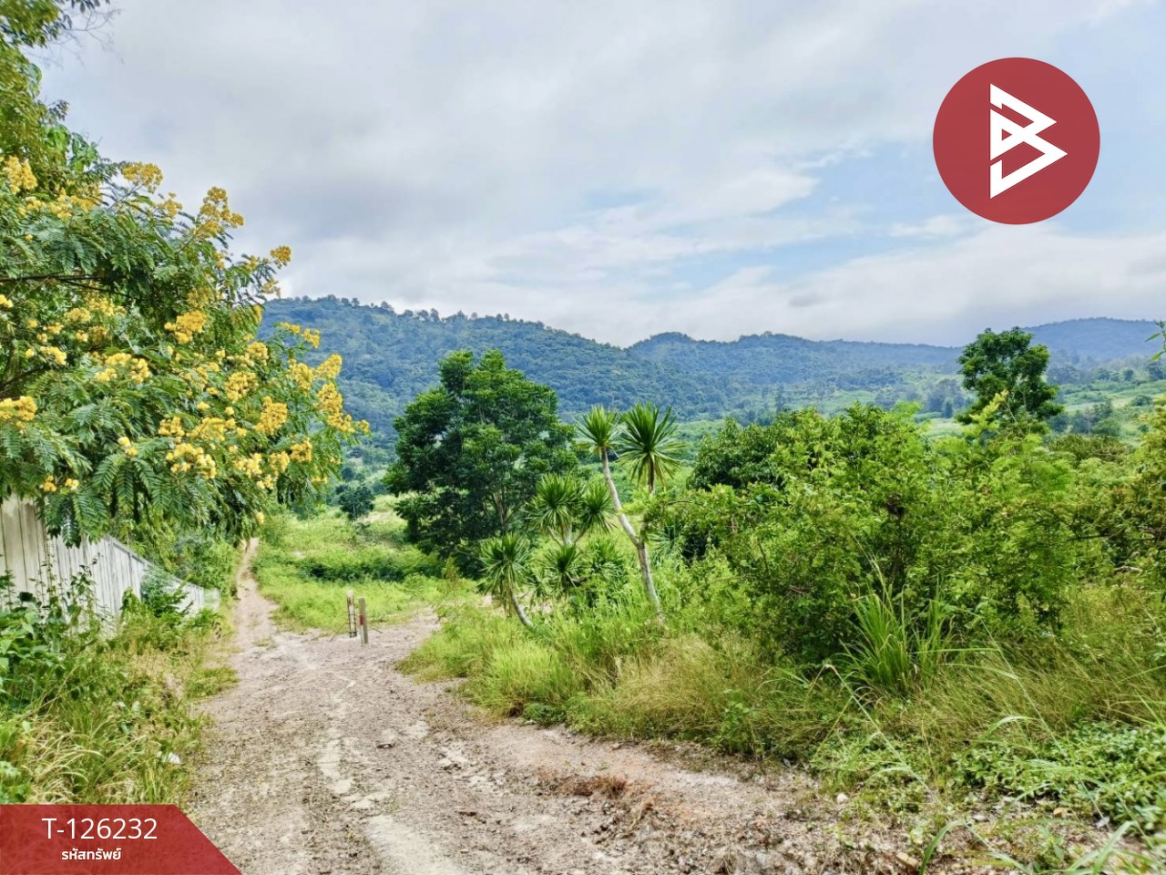 ขายที่ดินพร้อมสิ่งปลูกสร้าง เนื้อที่ 25 ไร่ 2 งาน 19.9 ตร.วา ปากช่อง นครราชสีมา 10