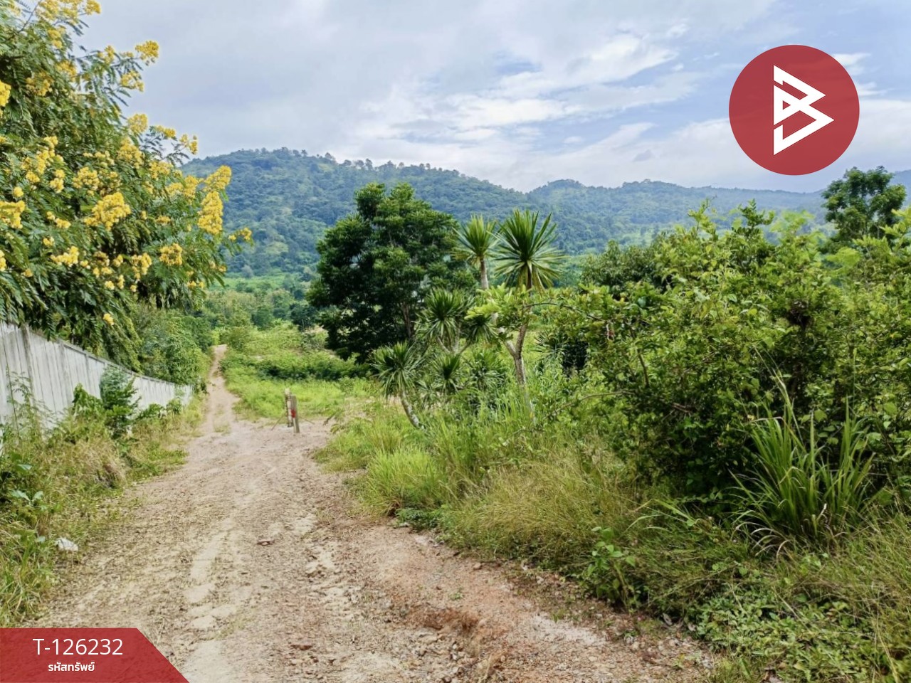 ขายที่ดินพร้อมสิ่งปลูกสร้าง เนื้อที่ 25 ไร่ 2 งาน 19.9 ตร.วา ปากช่อง นครราชสีมา 7