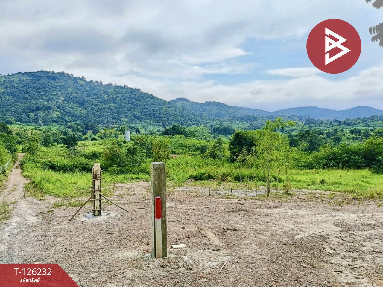 ขายที่ดินพร้อมสิ่งปลูกสร้าง เนื้อที่ 25 ไร่ 2 งาน 19.9 ตร.วา ปากช่อง นครราชสีมา 6