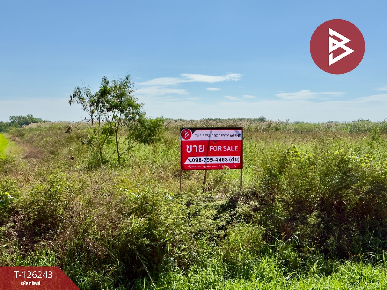 ขายที่ดินแปลงสวย เนื้อที่ 3 ไร่ บ้านโพธิ์ ฉะเชิงเทรา 1