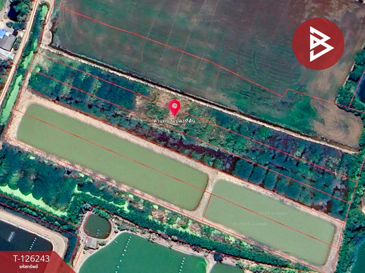 ขายที่ดินแปลงสวย เนื้อที่ 3 ไร่ บ้านโพธิ์ ฉะเชิงเทรา 4