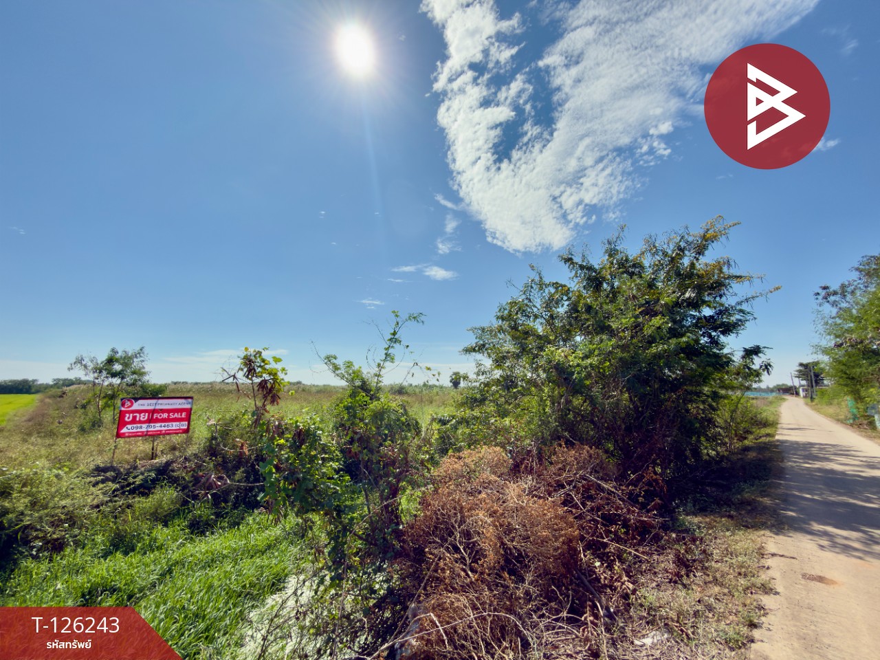 ขายที่ดินแปลงสวย เนื้อที่ 3 ไร่ บ้านโพธิ์ ฉะเชิงเทรา 3