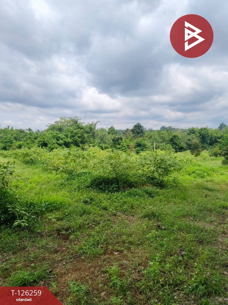 ขายทีดิน เนื้อที่ 5 ไร่ 1 งาน 69 ตร.วา โป่งน้ำร้อน จันทบุรี 14