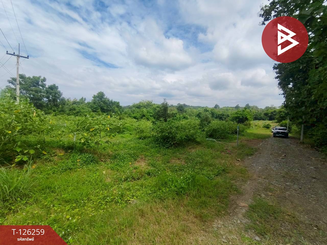 ขายทีดิน เนื้อที่ 5 ไร่ 1 งาน 69 ตร.วา โป่งน้ำร้อน จันทบุรี 10