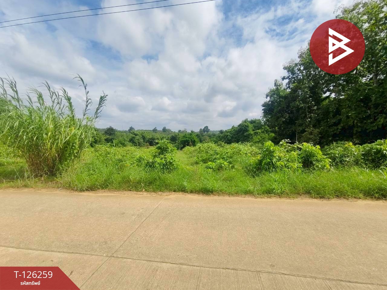 ขายทีดิน เนื้อที่ 5 ไร่ 1 งาน 69 ตร.วา โป่งน้ำร้อน จันทบุรี 2