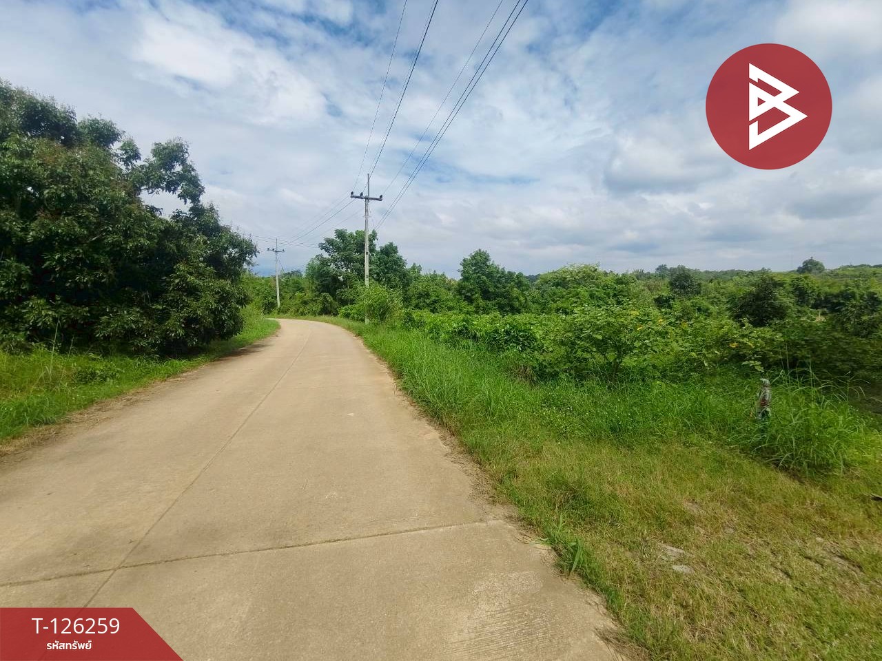 ขายทีดิน เนื้อที่ 5 ไร่ 1 งาน 69 ตร.วา โป่งน้ำร้อน จันทบุรี 7